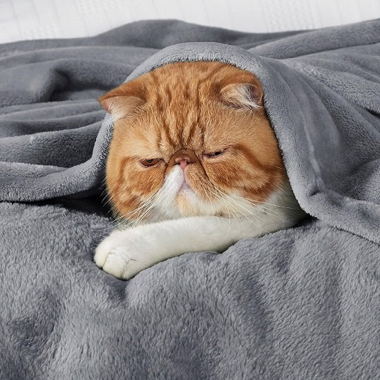 Fleece Throw Blanket for Couch Grey - Lightweight Plush Fuzzy Cozy Soft Blankets and Throws for Sofa, 50x60 inches